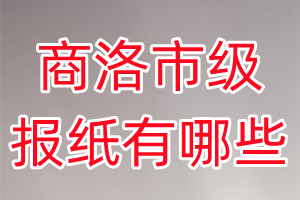 商洛市級(jí)報(bào)紙有哪些