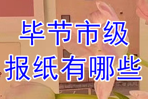 畢節(jié)市級(jí)報(bào)紙有哪些